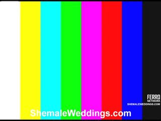 Vinge shemale weddings klamber koos hämmastav x kõlblik film tärni carol, lorena, milena