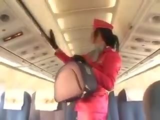 Charmig stewardessen sugande sticka före cunnilingus