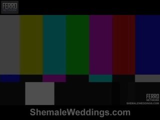 Shemale weddings stolt presents senna, camile, patricia_bismarck i xxx film scen